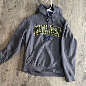 Gray Michigan Hoodie